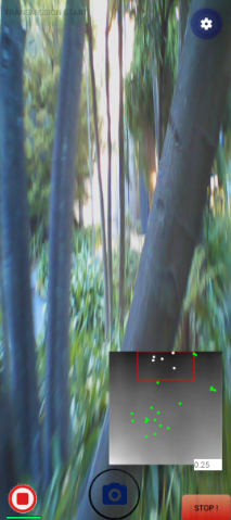 Beta-Bans Image 2